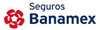 Seguro Banamex