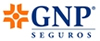 GNP