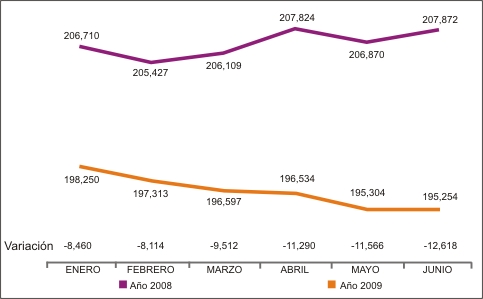 Trabajadores en el IMSS