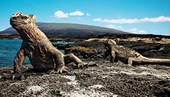 Islas Galápagos