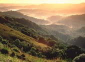 El Yunque