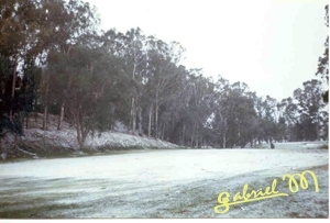 Golf1