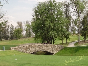 Golf2
