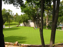 Campestre