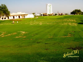 Campestre 2