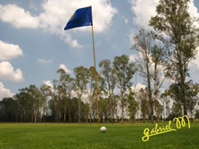 Golf2