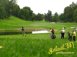 Golf1