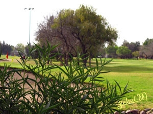 Golf-1