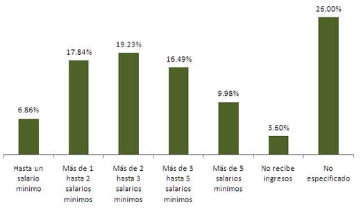 Nivel de ingresos