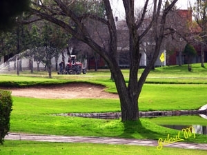 Golf-2