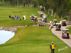 Golf-2
