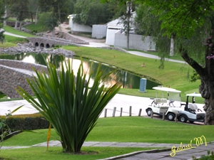 Golf-1