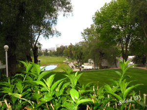 Golf2