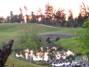 Golf-1