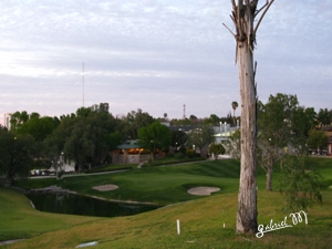 Golf-2