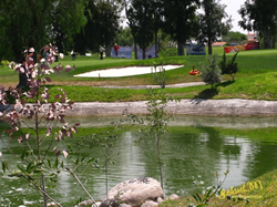 Golf-2