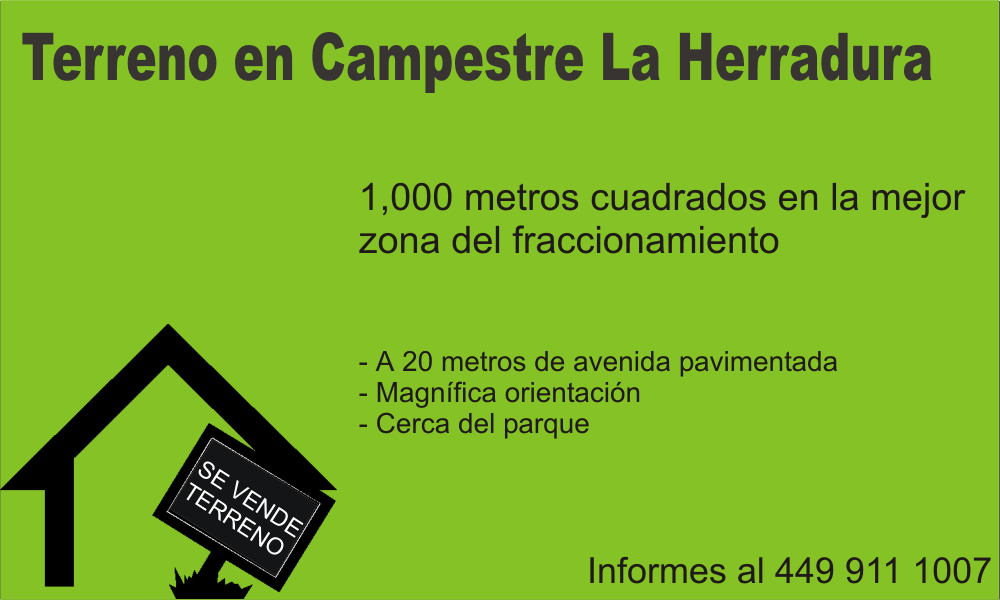 Terreno