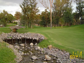 golf1