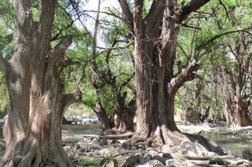 Aguascalientes