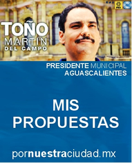 Toño Martín del Campo